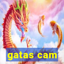 gatas cam